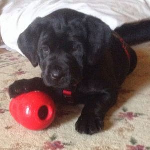 Meet your Posher, Marilyn